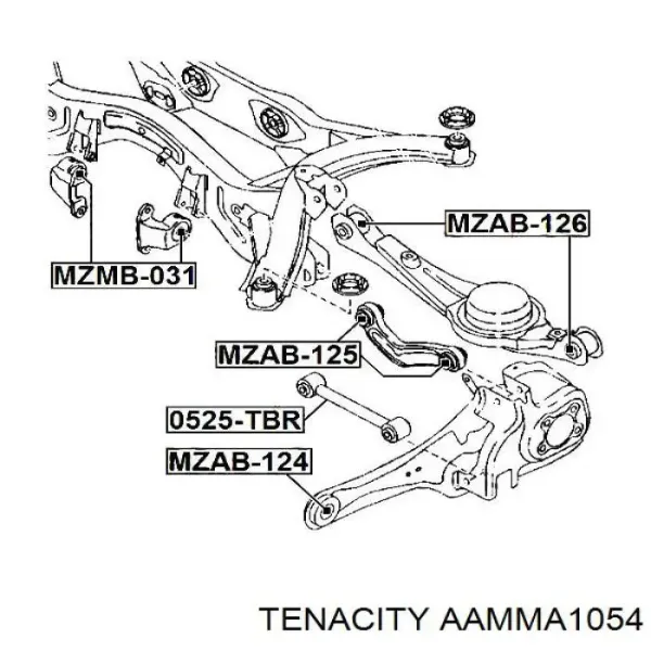 Buje del brazo inferior trasero AAMMA1054 Tenacity