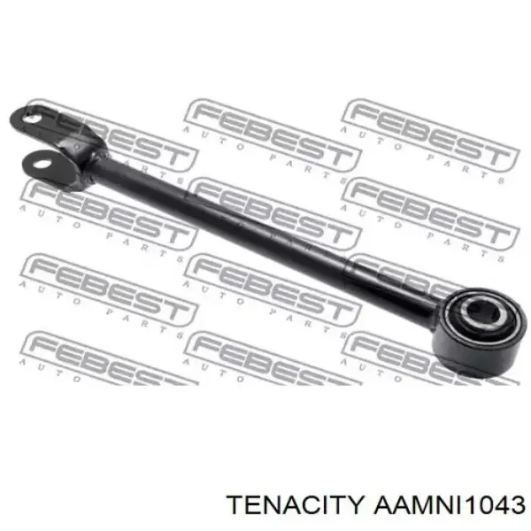 Buje delantero del brazo longitudinal trasero AAMNI1043 Tenacity