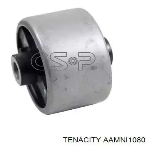 Brazo inferior izquierdo de la suspensión delantera AAMNI1080 Tenacity