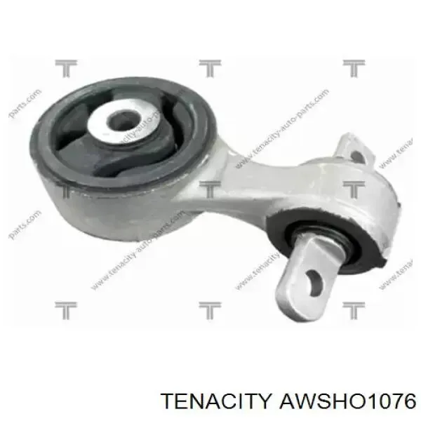 Soporte de motor trasero AWSHO1076 Tenacity