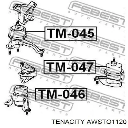 Soporte de motor delantero AWSTO1120 Tenacity