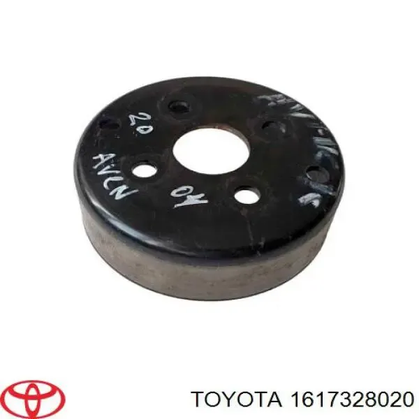 Polea, bomba de agua Toyota RAV4 2 XA2
