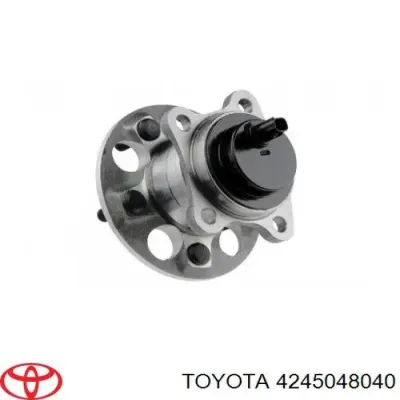 Cubo de rueda trasero derecho TOYOTA 4245048040