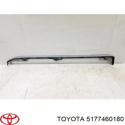 Almohadillas Para Posapies TOYOTA 5177460180