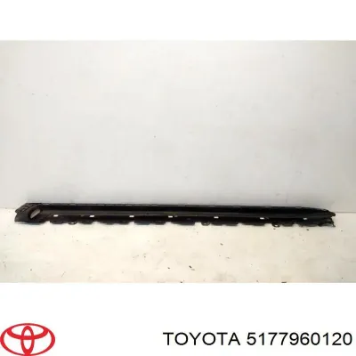 Almohadillas Para Posapies TOYOTA 5177960120