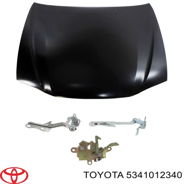 Bisagra, capó del motor derecha para Toyota Corolla  E11