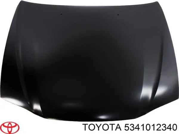 Comprar Bisagra, capó del motor derecha Toyota Corolla  E11