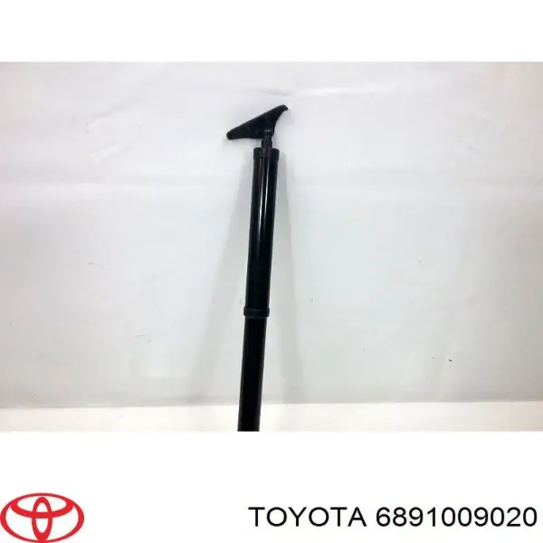 Amortiguador maletero 6891009020 Toyota