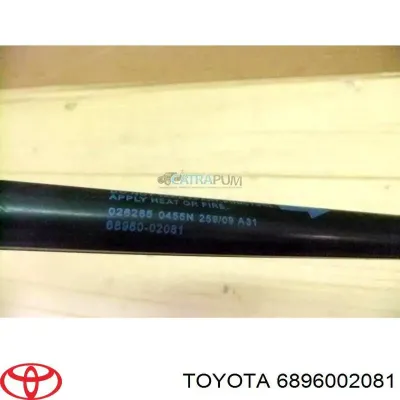 Amortiguador de maletero TOYOTA 6896002081