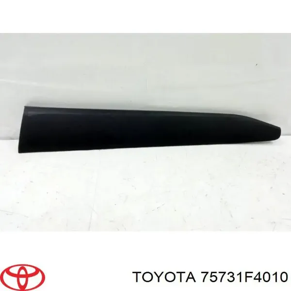 Moldura de la puerta delantera derecha Toyota C-HR X10