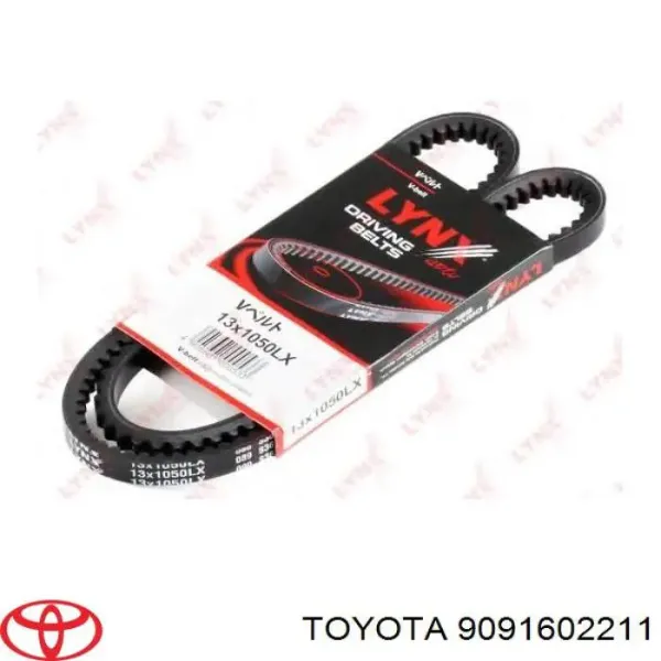 Correa de alternador 9091602211 Toyota