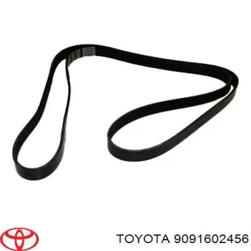 Correa de alternador 9091602456 Toyota