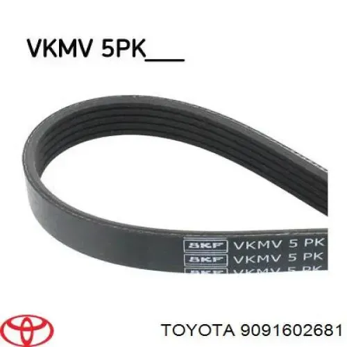 Correa de alternador 9091602681 Toyota