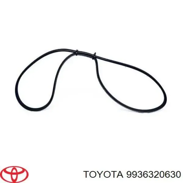 Correa trapezoidal Toyota Celica T16