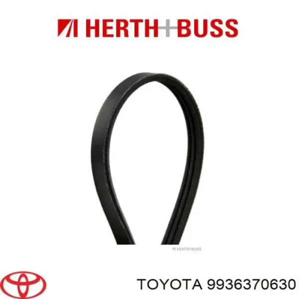 Correa trapezoidal Toyota Celica T16