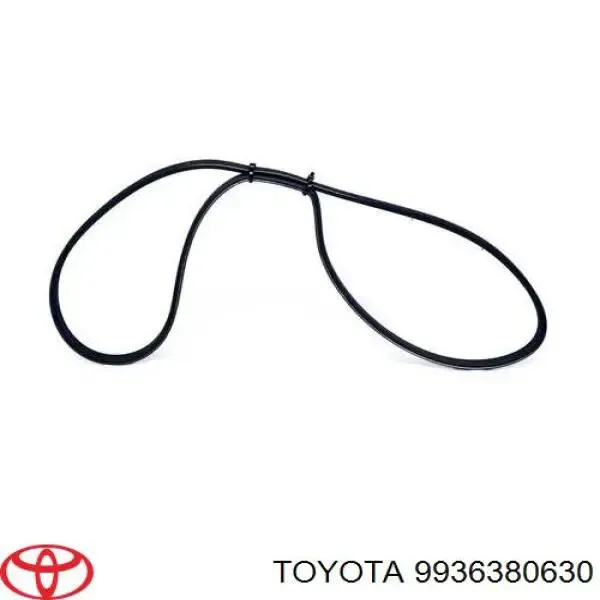 Correa trapezoidal Toyota Celica T16