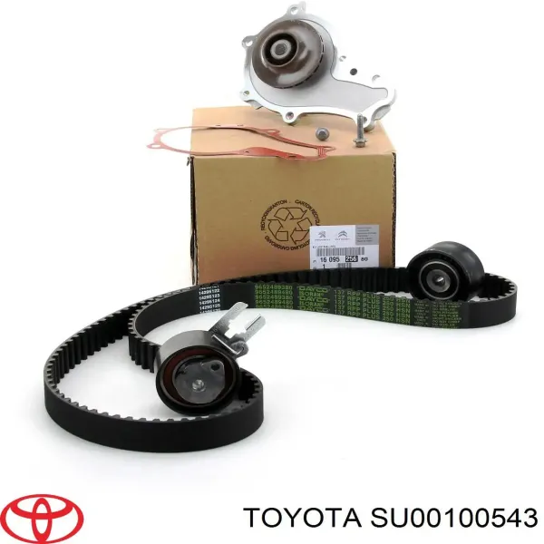 Rodillo, cadena de distribución Volvo S80 2 AS, AR