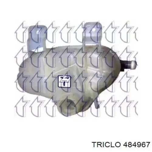  484967 Triclo