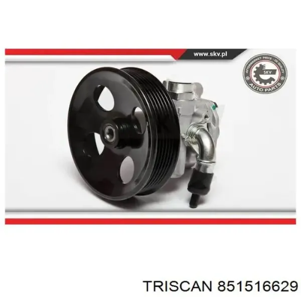 Bomba hidráulica de dirección Ford Fiesta CB1