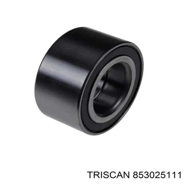 Cojinete de rueda delantero Renault 21 K48