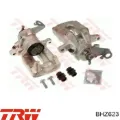 Pinza de freno trasera derecha Citroen Berlingo MF