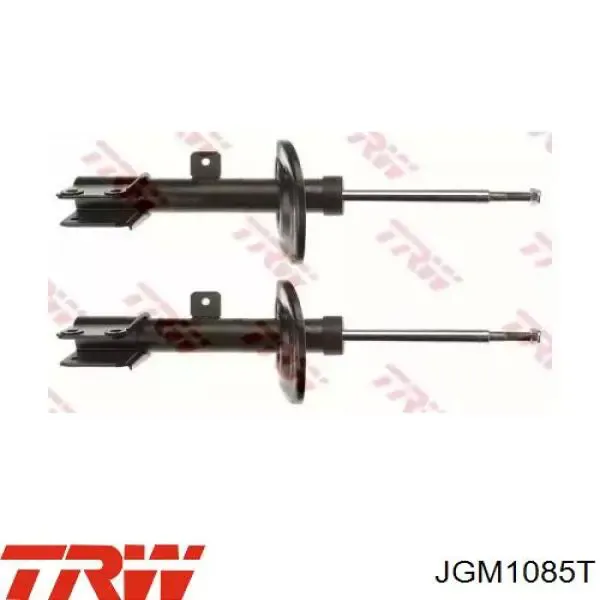 Amortiguador 543023386R Renault (RVI)