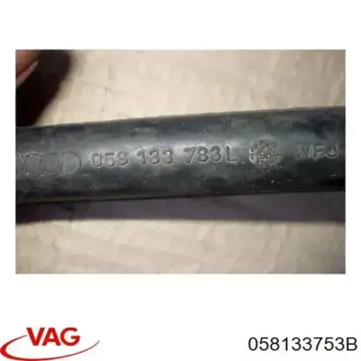 Bomba De Expulsion De Ventilacion De El Carter VAG 058133753B