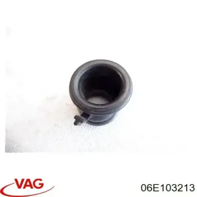 Tubo De Ventilacion Del Carter (Separador de Aceite) VAG 06E103213