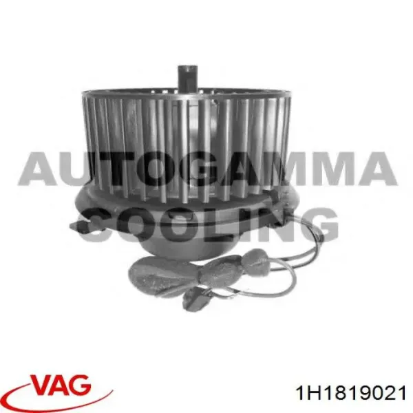 V150318931 Vemo