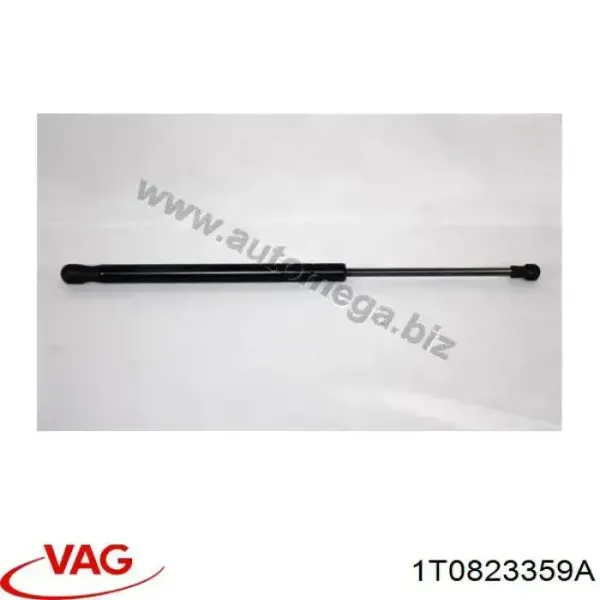 Muelle neumático, tapa delantera VAG 1T0823359A precio, desde