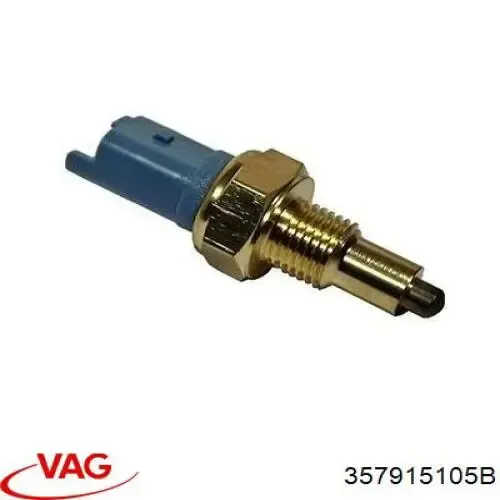 V99170020 Vemo