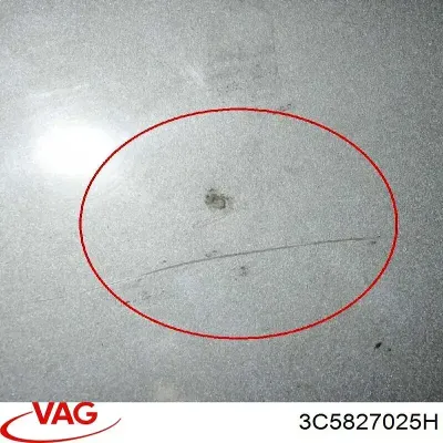 Tapa del maletero VAG 3C5827025H