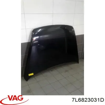 Capó del motor VAG 7L6823031D