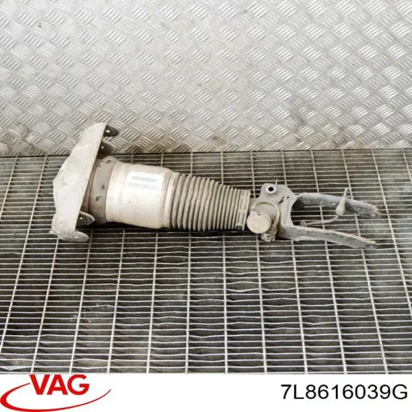Amortiguador delantero izquierdo REC60AS0023 Amity AP
