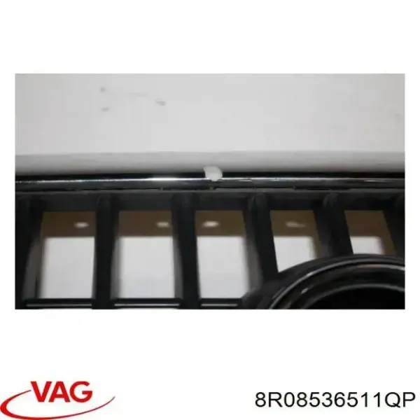 Parrilla 3L853004 AND
