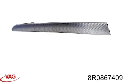 Moldura de puerta trasera izquierda VAG 8R0867409
