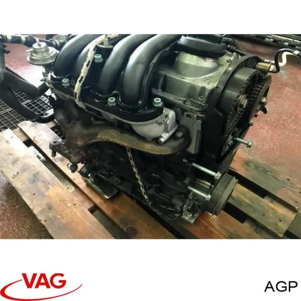 Motor completo AGP VAG