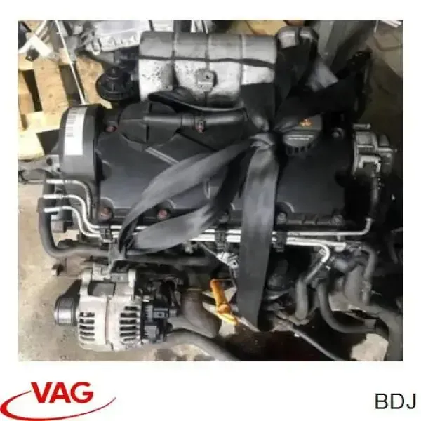 Motor completo BDJ VAG