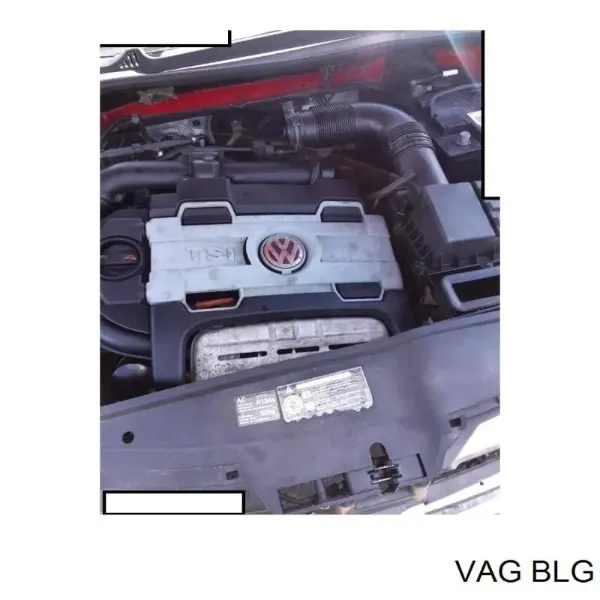 Motor completo BLG VAG