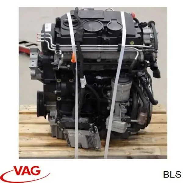 Motor completo BLS VAG