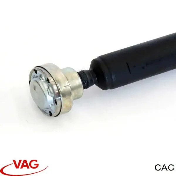 Caja de cambios CAC VAG
