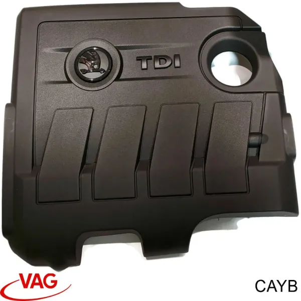 Motor completo CAYB VAG