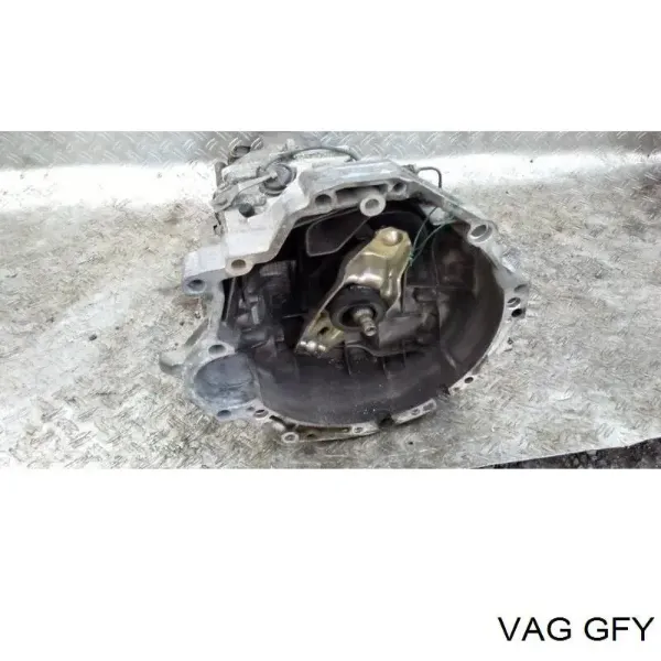  GFY VAG