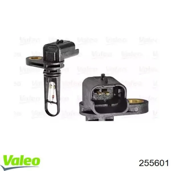V22720078 Vemo