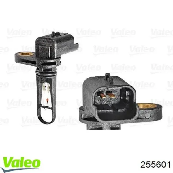 V22720078 Vemo