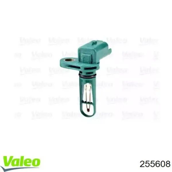 V22720078 Vemo
