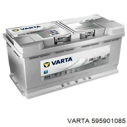V99170020 Vemo
