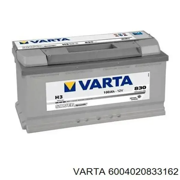 V99170020 Vemo