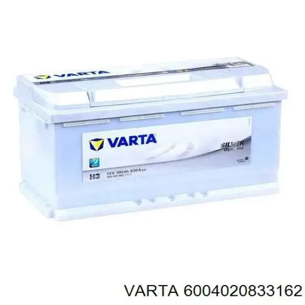 V99170020 Vemo