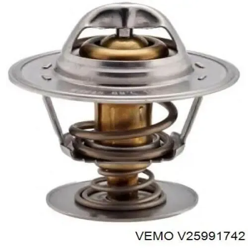V25991742 Vemo